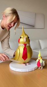 Parrot Refuses to Let Us Cut the Cupcake 🐦#parrotdrama #cupcakechaos #PetShenanigans #funnyparrot #MiniCakeGuardian #PetProblems #CuteAnimalMoments #ParrotLife #NoCuttingAllowed #animalhumor #parrot #fypageシ | Lucky Pup X