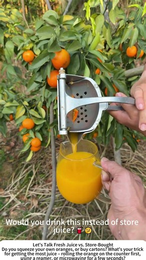 Hand‑Squeezed Orange Juice – From Tree to Glass 🍊🥛
