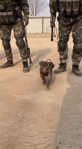 PLA Test Gone WRONG: Who Pulled The Pin?