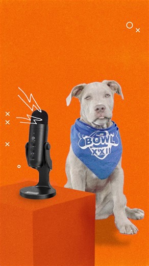 Introducing the Puppy Paw'dcast 🔊🎧 First guest: Waffles. Her lips are sealed and she's already picturing that trophy on her shelf. Don't miss this epic showdown on #PuppyBowl Sunday, Feb 8 2p ET | 11a PT on Animal Planet.