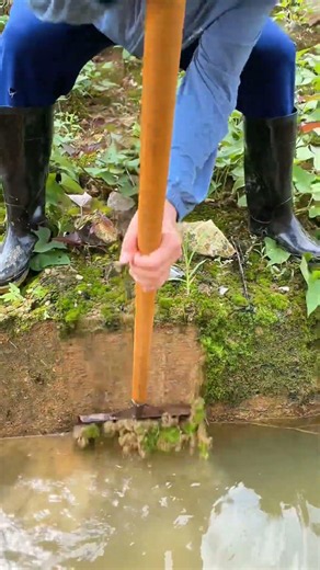 Essential Waterway Maintenance: Clearing the Drainage Channel #shorts