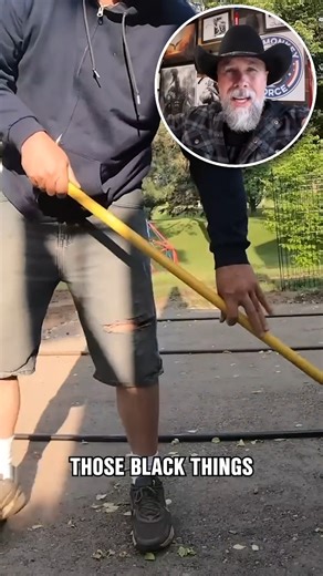 41K views · 413 reactions | Patio Building: Step by Step Guide | Stanley "Dirt Monkey" Genadek | Facebook