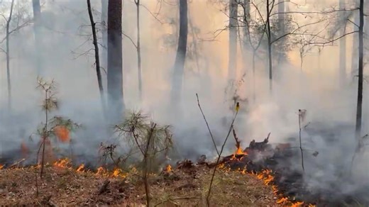 Smoke rising from fire burning in Addicks Reservoir in west Houston