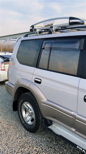 Bumper to Bumper: A Look Back at Tz 2001