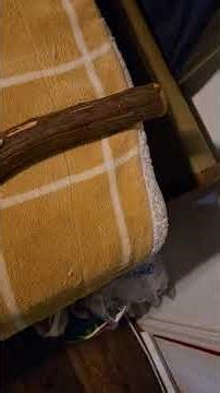 What should I do with this homemade walking stick?