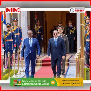 Maxay yihiin Heeshiisyada ay wada galeen Soomaaliya iyo Masar ? | MM Somali TV