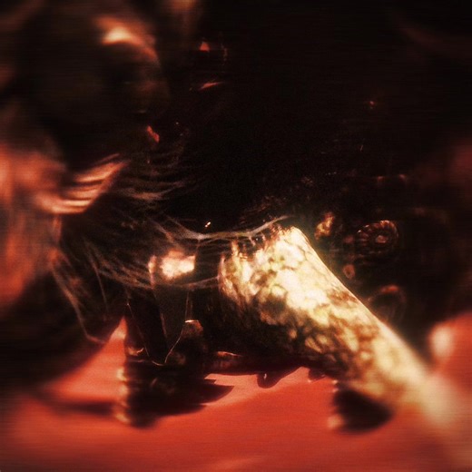 lowkey just did random stuff on this #radhan #radahnedit #consortradahn #eldenring #eldenringedit