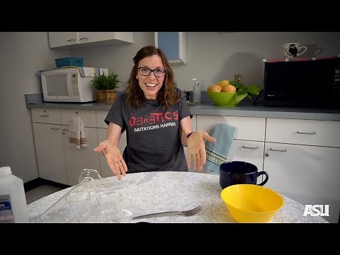 Protein Breaking