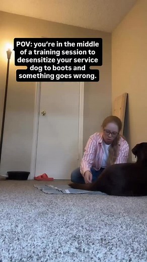 I want you to text me to train your service dog Why? Because it’s what helps you actually grow with your training! Tutorial videos (and I have LOADS of them) are great, but they can only do so much. Each dog is an individual, and each handler is too. You need to be able to customize what you are learning to what you and your dog both need. One of the key elements of my program, the Pack, is our daily text support and weekly texting days. Every day, you can ask me questions at any time, and I wil