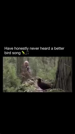 #birdsoftiktok #bird #rapper #raptok #songbird