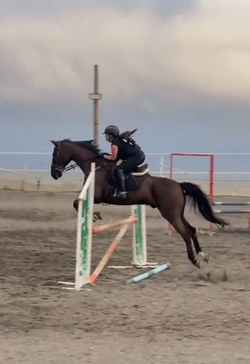 El desafío de la equitación: lo que dice tu coach