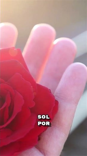 JOSÉ MARÍA PEMÁN - En Gracia - Inspiración y Gracia 3