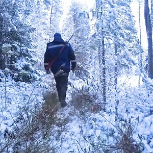 762K views · 3.3K reactions | Life Alone in the Forest, Off grid Cabin Far North, Tiny House in the Woods | Majique Jewellery India | Facebook