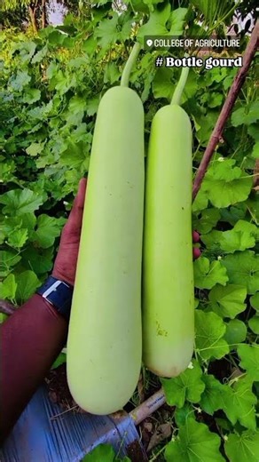 COA, Mahad..🌱 Experiential Learning Module..2026🌾 #agricoss