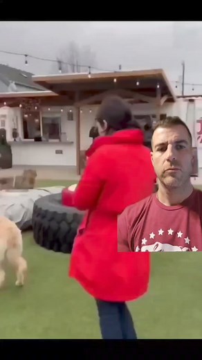 44K views · 513 reactions | Take a look at a Golden Retriever...