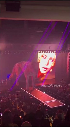 😍Shakira's Wolf Entry Animated Scene on Stage 🫣#shakira #lmynl #shakirafan #lmynlworldtour