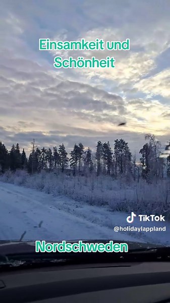 Exploring the Beauty of Winter in Northern Sweden