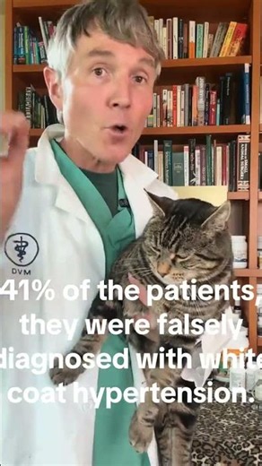 41% of dogs and cats falsely diagnosed with high blood pressure.