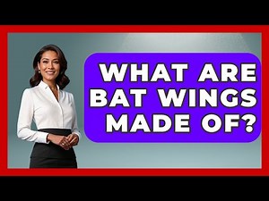 What Are Bat Wings Made Of? - The Wild Life Explorer