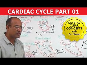 Cardiac Cycle | Systole & Diastole | Dr Najeeb Part 1/8