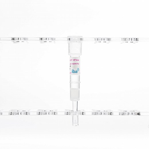 Strep-Tactin®XT 4Flow® high capacity column