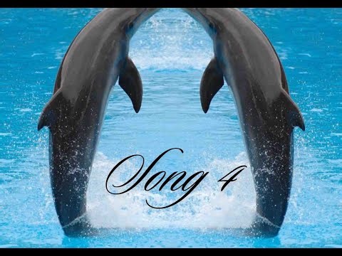 Song 4 - Music Video