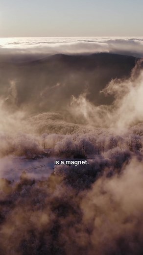 Attracting Positive Energy: Quotes for a Positive Mindset