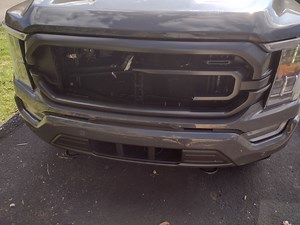 Grille Guard/ our grilles are fragile as !@#!$ - Ford F150 Forum - Community of Ford Truck Fans