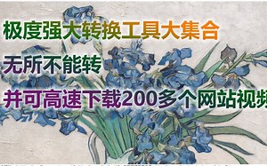 极度强大转换工具大集合，无所不能转，关键还有一个可以高速下载200多个网站视频的工具。