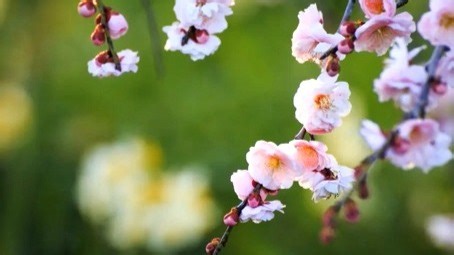 KEYLOCK防盗锁业(智能密码指纹锁)维修中心|24小时全国统一售后受理中心电话4000767098