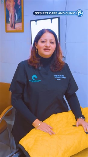 Sj's Pet Care and Clinic on Instagram: "Do pets really need winter coats? Some do… some don’t! Short-haired, senior & sick pets stay warmer with coats, but wearing them too long can cause overheating or skin issues. Choose comfort, not trend. . 📍Visit us today & let your furry friend feel the difference. 16-Gf, Paras Trade Centre, Gwal Pahari, Gurugram 122003 . [pet winter coats, dog coats, cat coats, winter care, overheating pets, pet skin issues, senior pet care, short-haired pets, SJS Pet Ca