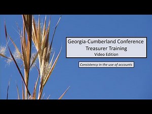 Treasurer Training - 2.4 - Jewel Basics - Consistency in the Use of Accounts