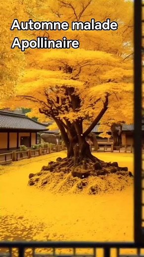 Automne malade / Guillaume Apollinaire #poèmes#apollinaire #automne