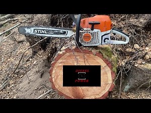 Der Auftrag 》 Abstocken mit Stihl MS 400 C 》 Perfekt 》 Real Talk