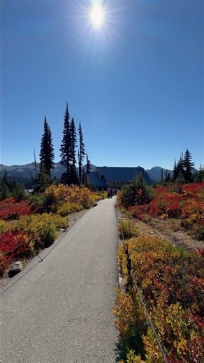 Fall colors at Paradise, Mount Rainier. September 2026