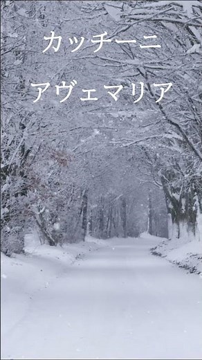 カッチーニのアヴェマリア #ピアノ #piano