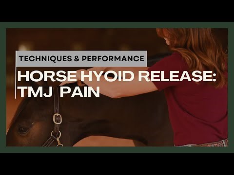 Horse Hyoid Release: TMJ Pain