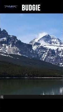 This Desktop Just Makes Sense | Budgie Desktop #shorts