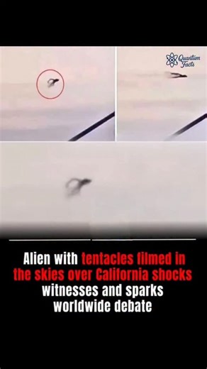 Quantum on Instagram: "“Unbelievable! Could This Be Real? Mysterious Creature with Tentacles Spotted Flying Over California Shocks the Internet!” A strange creature with what appears to be tentacle-like arms was caught floating across the California sky — leaving witnesses stunned and social media users questioning reality. Some call it proof of alien life, while others believe it’s a government experiment gone wrong. Whatever it is, the footage has everyone asking the same question: What’s real