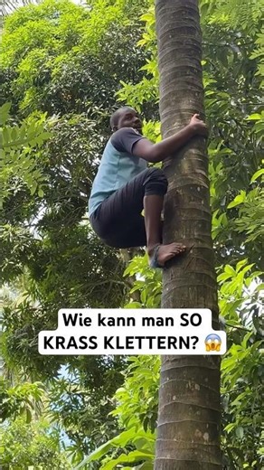 He CLIMBS every TREE! 🌳😱 #jannikfreestyle