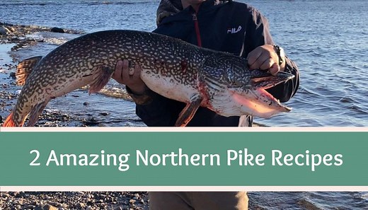 2 Amazing Northern Pike Recipes - High Country Farmhouse