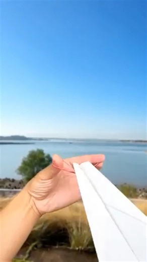 Best Paper Airplane Shot Ever 😱✈️ #shorts