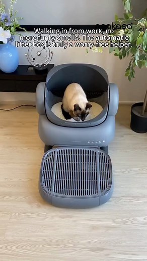 2.7K views | MEHR SEHEN ➡ https://bit.ly/4ocyxJu Endlich muss ich das nicht mehr selber machen 藍 | Von Herz zu Herz | Facebook