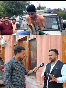 552K views · 6K reactions | The police officer's act!ons in hum!liat!ng the arre-sted th!ef are deplorable and v!ol-ate fundamental principles of justice and human rights. A thorough invest!gation is necessary, and the respons!ble officer must be held accountable. This inc!d-£nt erodes trust in the justice system and the author!ties must ensure it does not recur. | 헝헸헪헶헿헲.헶헻 | Facebook