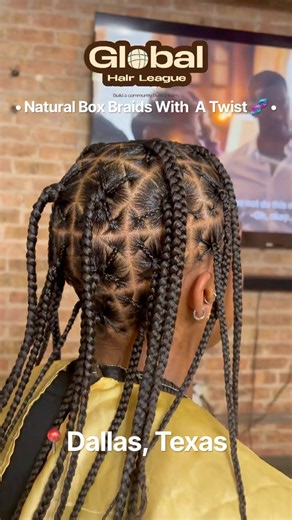 Natural Box Braids With A Twist 🧬