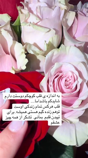 F Pjr (@f_pjr)’s videos with original sound - F Pjr