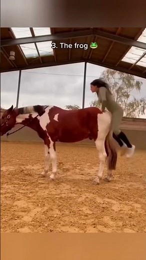 5 different ways to get on your horseback #viralvideo