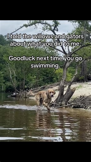 Peep hanky poo | swimming