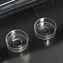 Video: A High-throughput Cell Microarray Platform for Correlative Analysis of Cell Differentiation and Traction Forces