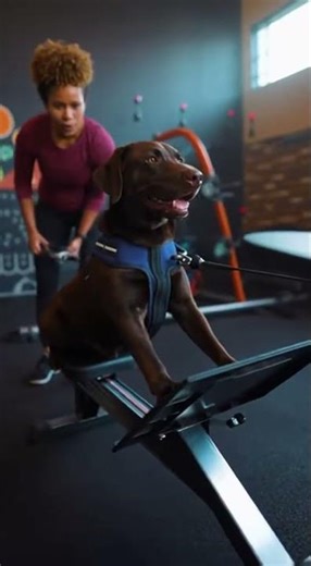 Husky's gym transformation is insane!